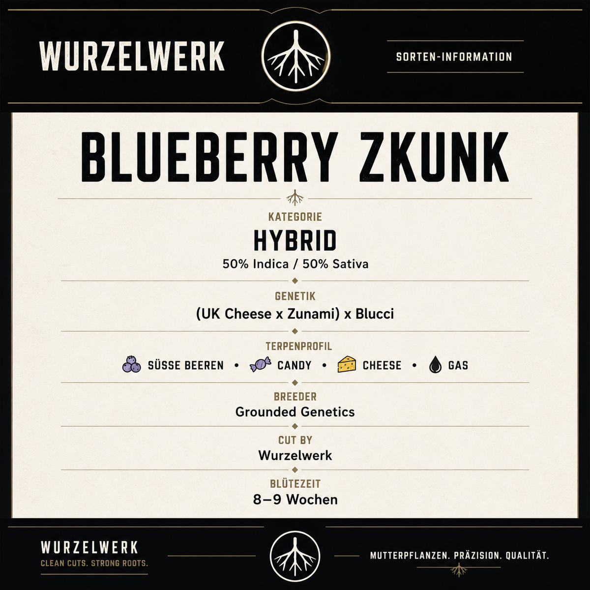 Blueberry Zkunk