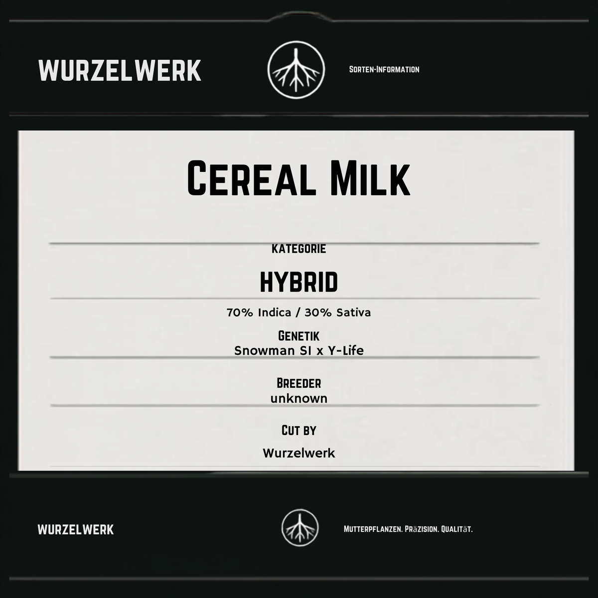Cereal Milk