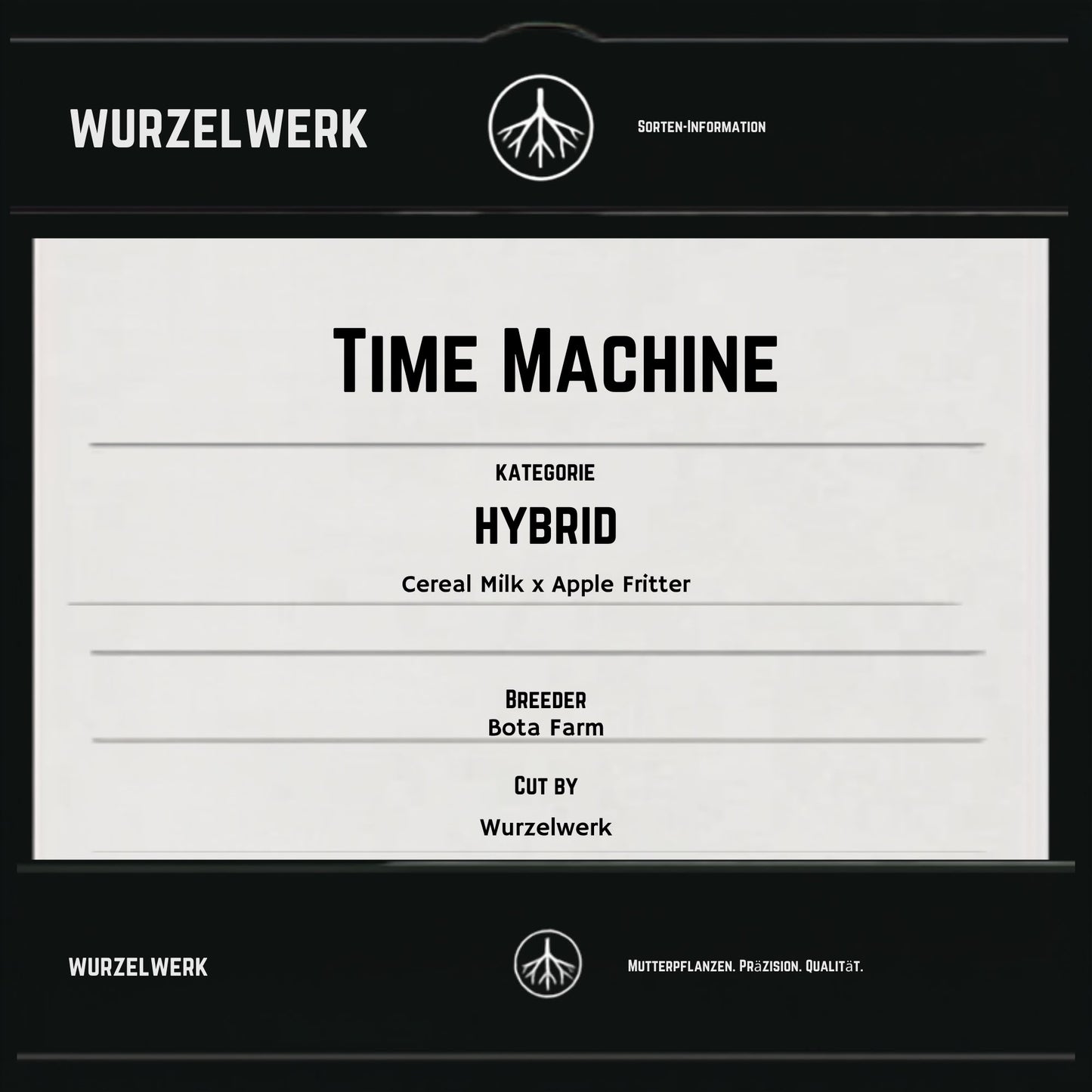 Time Machine Steckling