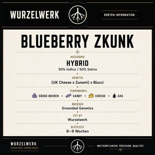 Blueberry Zkunk