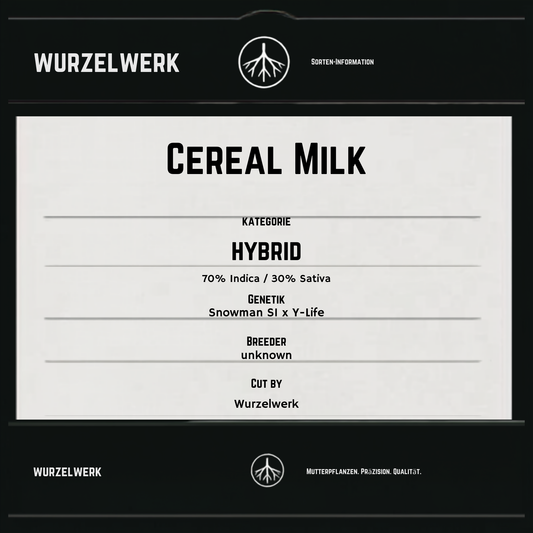 Cereal Milk