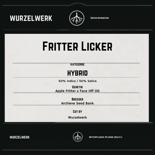 Fritter Licker