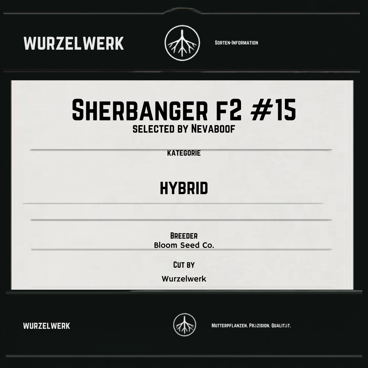 Sherbanger F2 #15