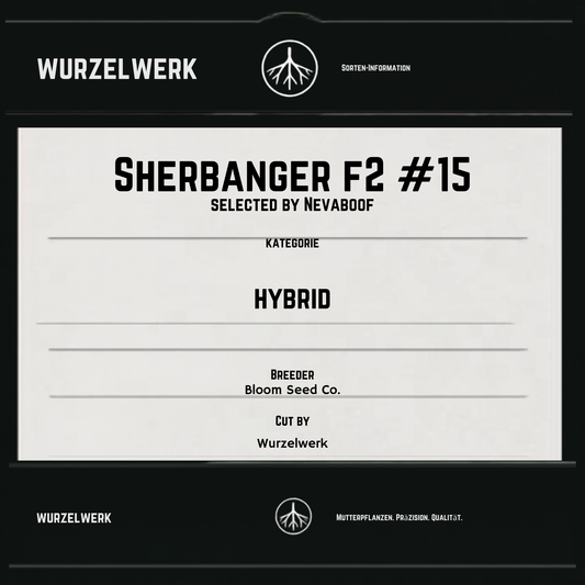 Sherbanger F2 #15