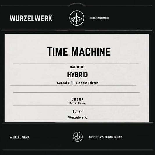 Time Machine Steckling