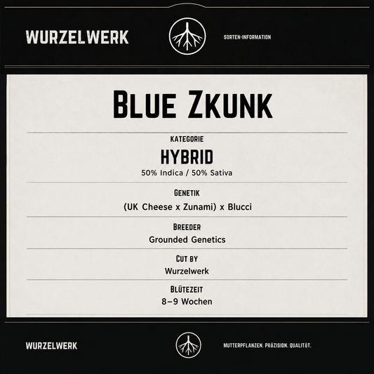 Blueberry Zkunk
